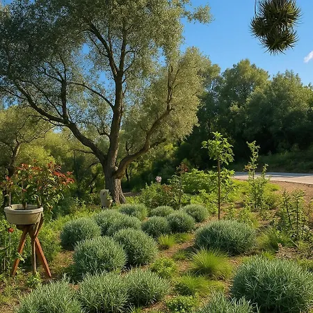 Apartment Votre Havre De Paix A